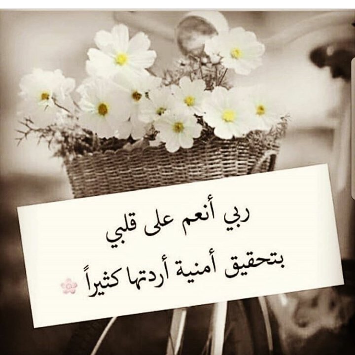 Nasim (@nnasim123) on Twitter photo 