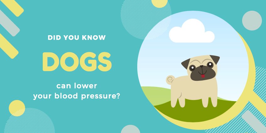 Did you know... 🐶 #WednesdayWisdom #dogs