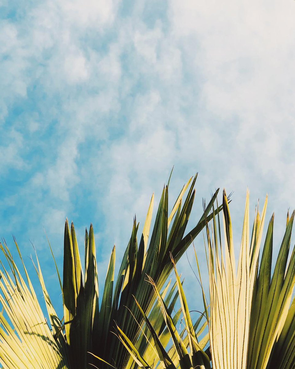 ConnorFranta_PH's tweet photo. Connor's recent post pt.1

connorfranta | instagram https://t.co/oKcswmUCNQ