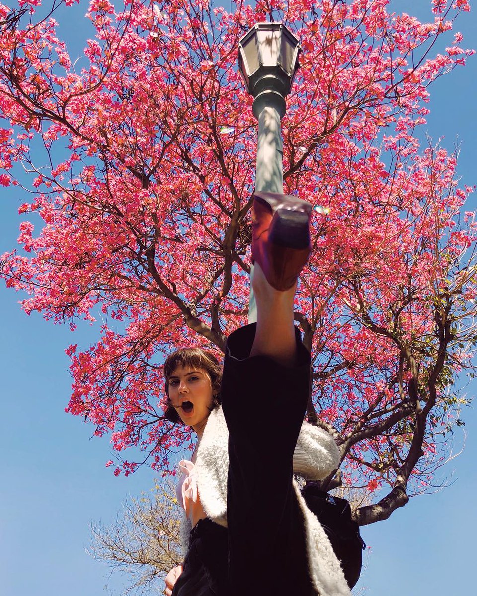 ConnorFranta_PH's tweet photo. Connor's recent post pt.1

connorfranta | instagram https://t.co/oKcswmUCNQ