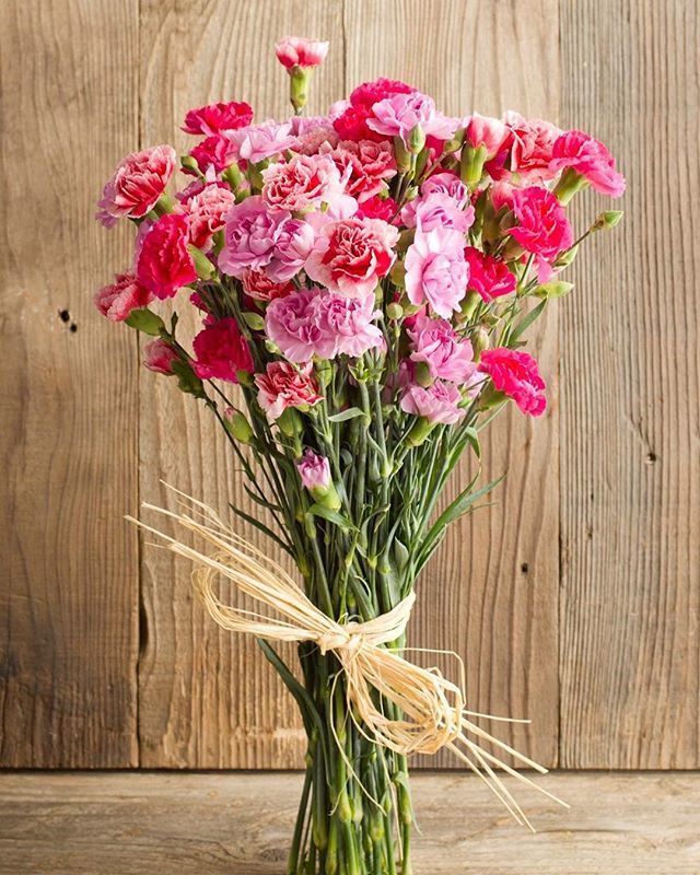 gelsonsmarkets's tweet photo. ON SPECIAL! Miniature Novelty #MiniCarnations ONLY $5.99 now through May 1 😍 🌺They are long lasting
🌺They come in a myriad of colors
🌺The formal name of the carnation, dianthus, comes from the Greek for #heavenlyflower https://t.co/53oSMpt2O9 https://t.co/Mn1cS2ltBs
