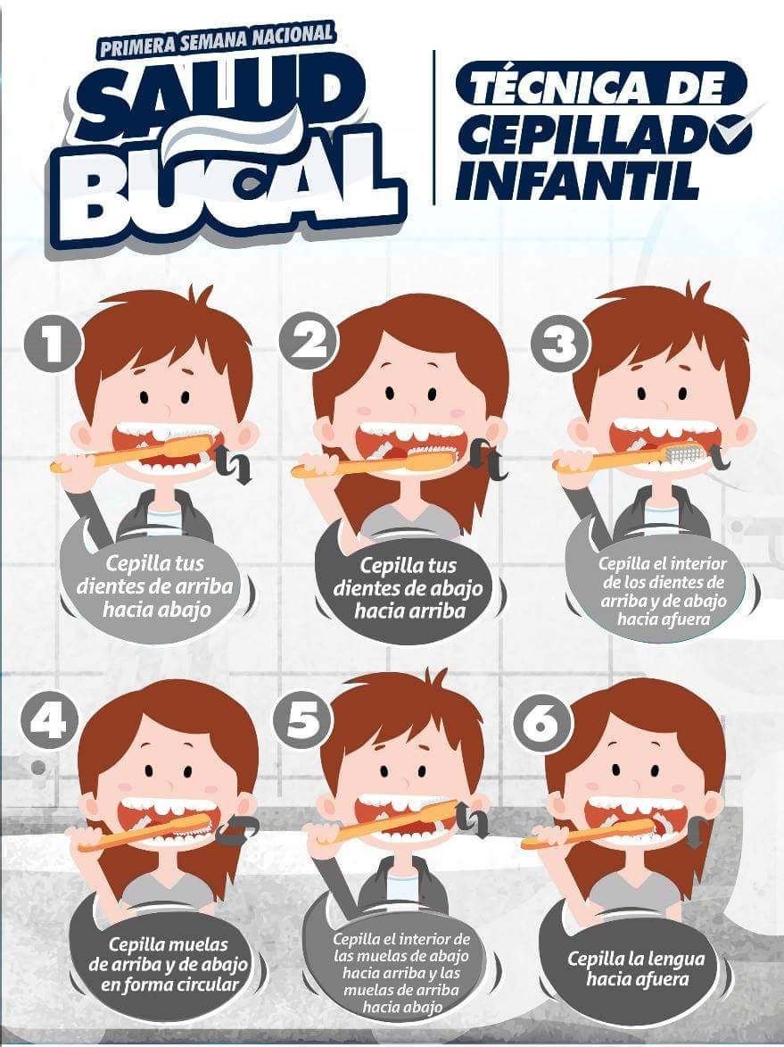 Servicios De Salud Na Twitteru Infografia Salud Bucal Tecnica