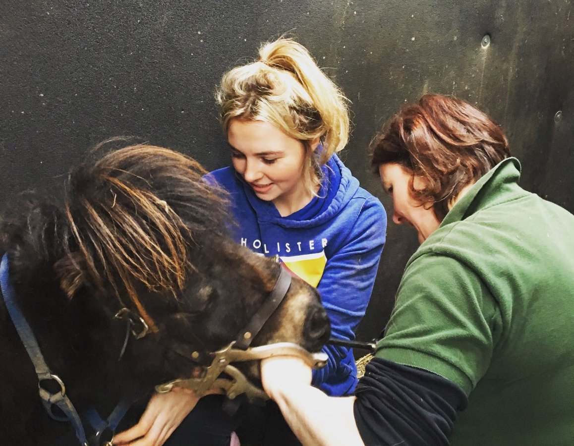 TheYorksTimes's tweet photo. A visit from the dentist for Little Alf
@hannahrussell26 @AlfLittle 
https://t.co/u4Gqnjf8jD https://t.co/UBFc4e933B