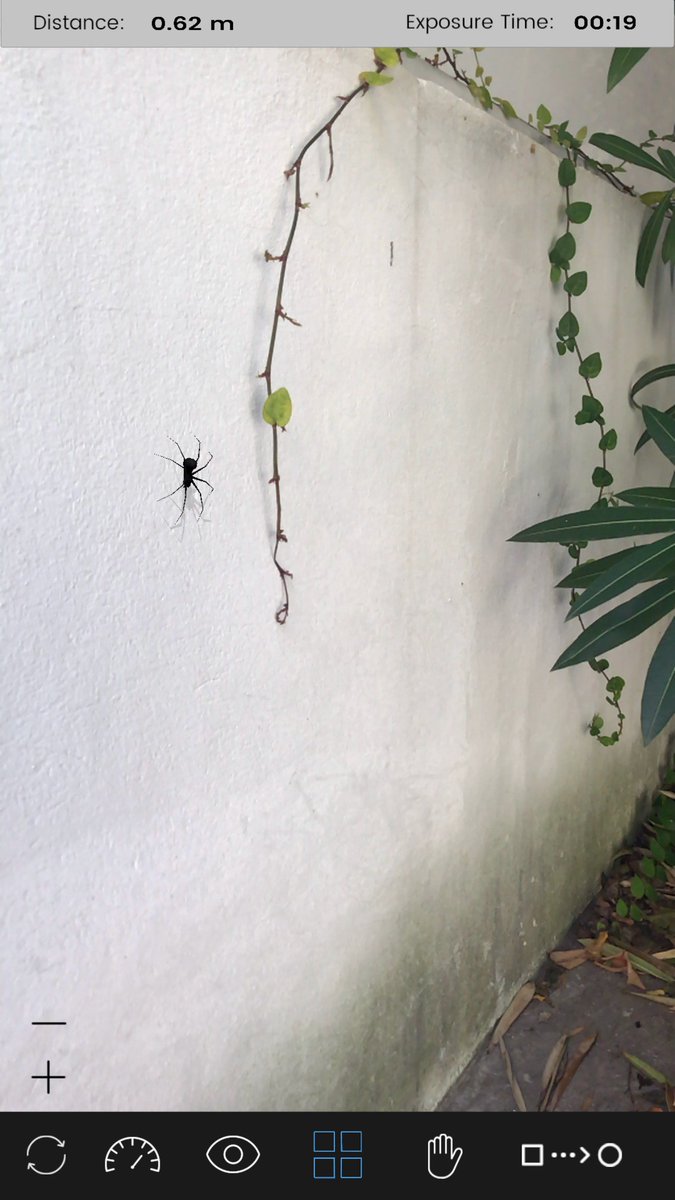 PsyTechVR's tweet photo. New update coming soon to #PHOBOSAR
Some updates included on v1.3
- Upgraded to ARKit v1.5
- Spiders and roaches can now be placed on vertical surfaces
- Update to the Fear of Heights scene (Experimental)
- Ability to rotate creatures thru finger gestures
- Updated BiSAR module https://t.co/tXIgm4fve6