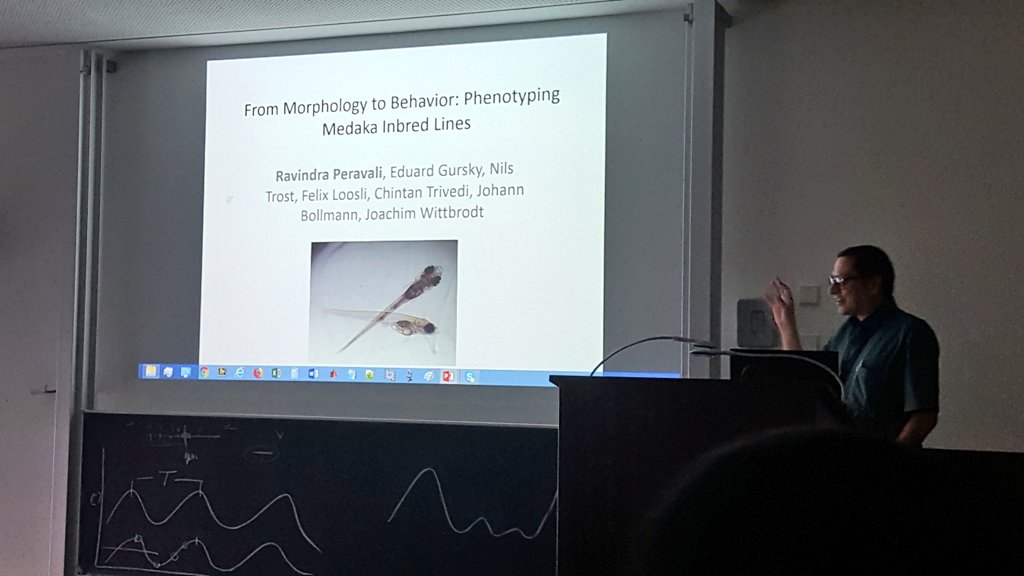 WittbrodtLab's tweet photo. Ravindra Peravali (@KITKarlsruhe) 'From Morphology to Behavior: Phenotyping Medaka Inbred Lines' #HDfish2018 What keeps you alive? #Hardwired prey capturing! https://t.co/quNV3taaWA