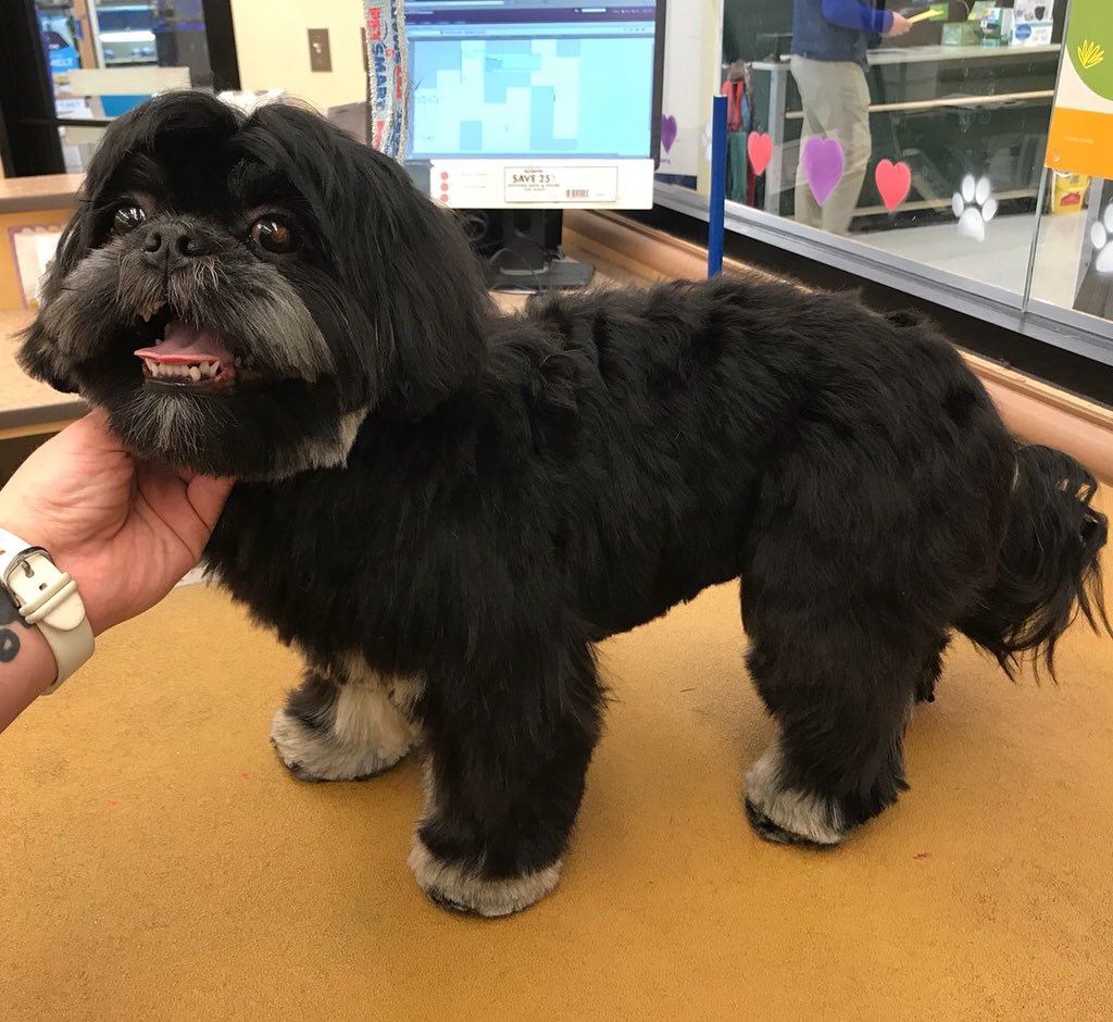 Stylist ARYN DAT Sarah #0771 #CNY #extrememakeover  #northeastgrooming