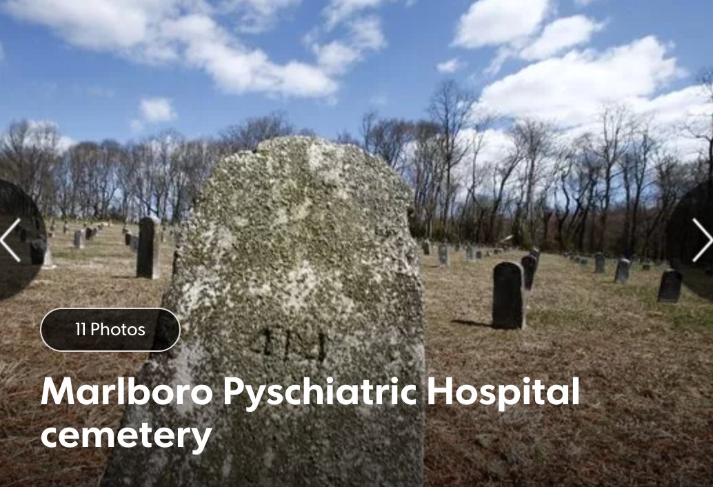 Romany Reagan tweet media