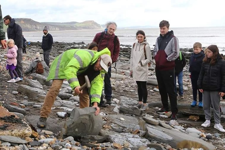 LymeRegisMuseum's tweet image. Tom likes tackling the big problems in life! Any nodule worthy of splitting, is broken down on our fossil walks so that all our fossil walkers have the chance of taking some really amazing finds home with them! #fossilwalk