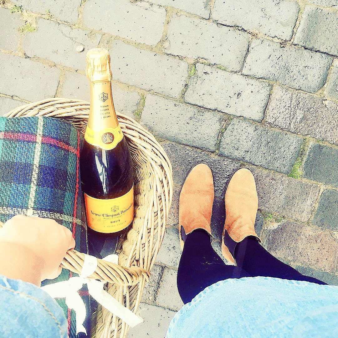 The sun is shining, we hope your picnic essentials are well at the ready 🥂 🌞 #HappyHumpDay 🐪 #FairfaxAndFavor