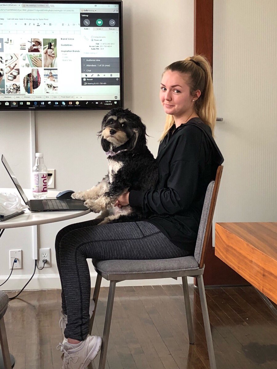 TaylorPond's tweet photo. Office pup Hashtag 🐶 likes to sit in creative meetings and gives some paw-tastic feedback. Here she is with Madison hard at work 👀 Caption this photo below 👇#agencylife #officepuppy #captionthischallenge https://t.co/0h4MaunHQC