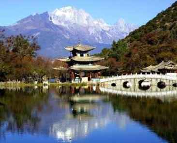 Musicians & Vocalist tweet media