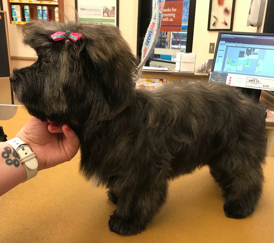 Stylist ARYN DAT Sarah #0771 #CNY #extrememakeover #northeastgrooming