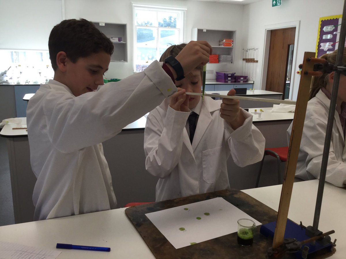 rh7science's tweet photo. Our second forensics club started today. Green blood spatters! @radnorsevenoaks #forensics https://t.co/JPC0R7S7AC
