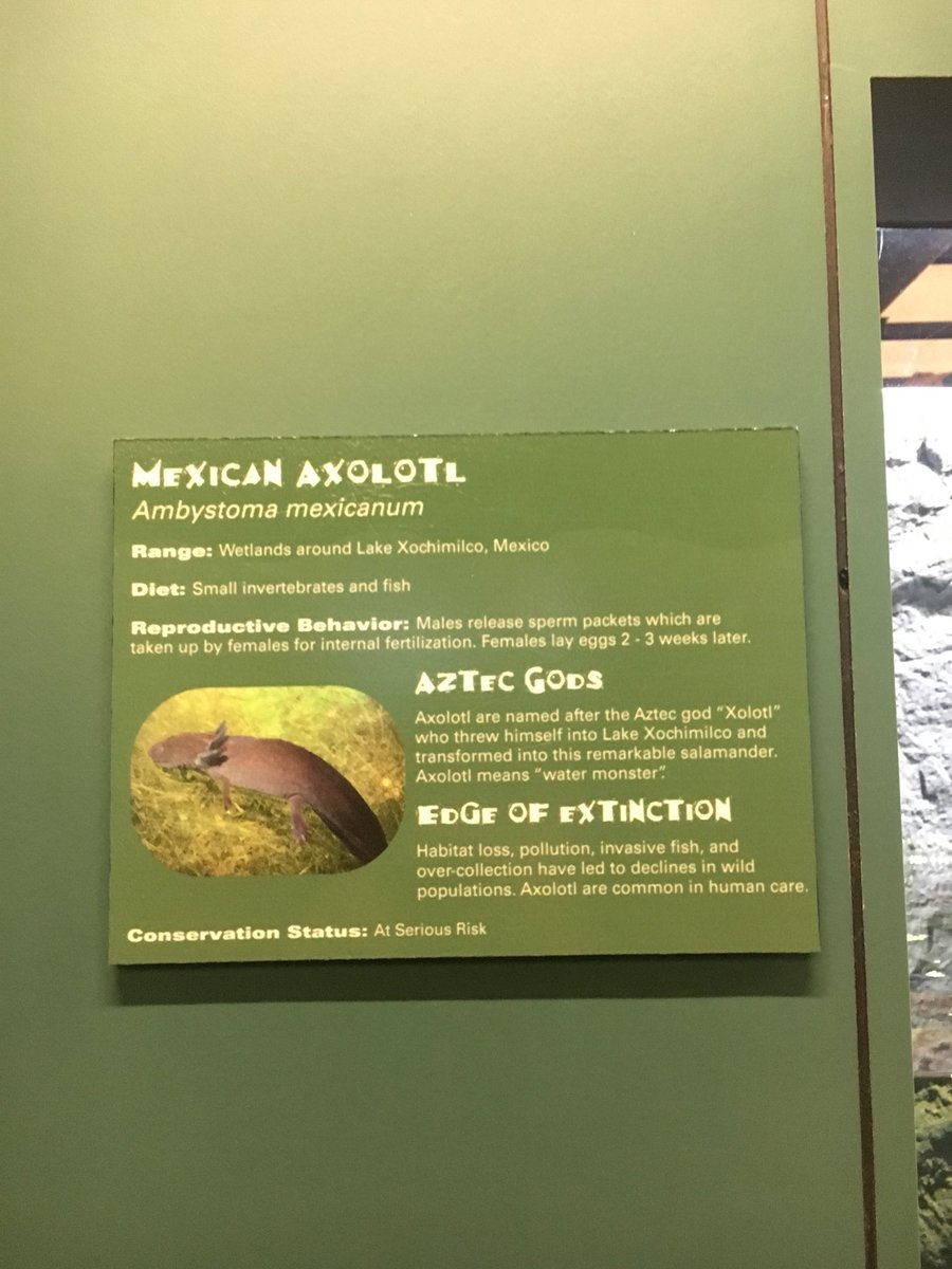 melanie_nthc's tweet photo. JUST GOT TO THE AQUARIUM!! BOUTA TOUCH SOME STING RAYS #ntdayout #NTHC10 https://t.co/g4gfE4PbyD