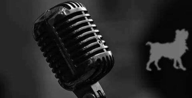 drifterspub's tweet photo. Karaoke/Pitcher night! 
-$2 Vegas Bombs &amp; Double Wells
-$3 Pitchers of PBR
-$4 Jack
-$5 Pitchers of Bud Fam. &amp; Miller https://t.co/2g3MEoXf8s