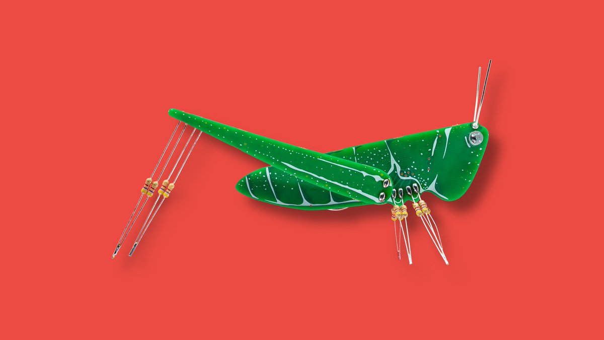 Crickets! #BoldportClub