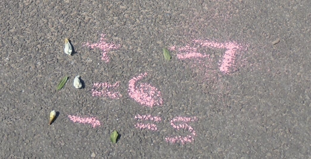 _MissieBee's tweet photo. 3rd lesson of algebra outside today - thanks for the idea @CreativeSTAR 🌿🌸🍂 https://t.co/5DFnhgtAHA