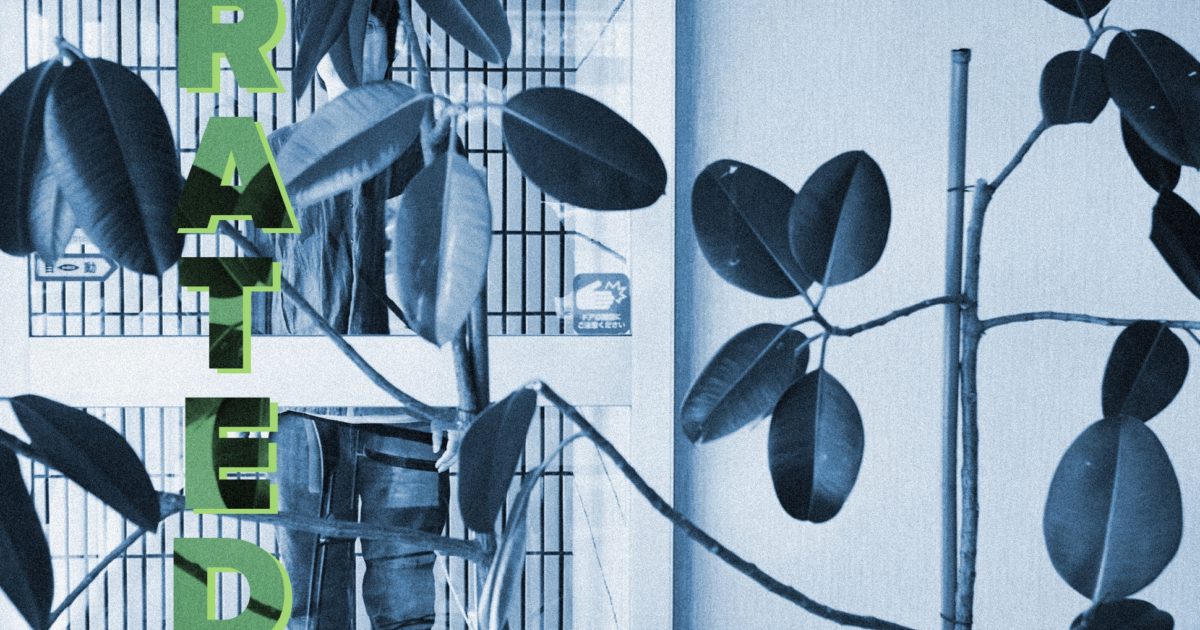 theetechnofile's tweet image. Japanese dub artist #7FO will turn your chillout room into a nature terrarium dlvr.it/QPywnX