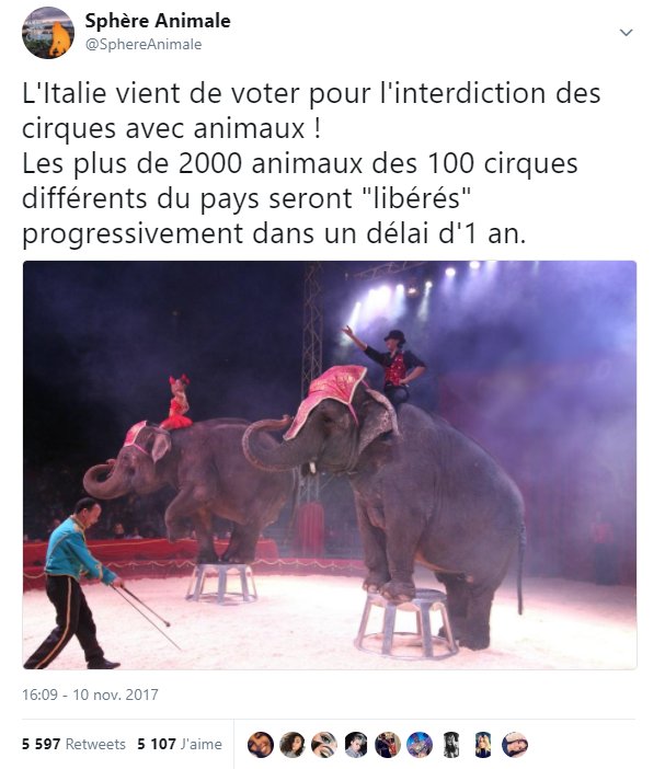 _Naeray's tweet photo. Plusieurs autres pays l'ont déjà fait.
La place des animaux est dans la nature ou dans des réserves adaptées, pas dans des cirques ou ils sont maltraités, enfermés et exploités.

A quand un engagement national en France ? @N_Hulot @EmmanuelMacron 
#NonAuxCirquesAvecAnimaux https://t.co/hLSEVh8Z7U