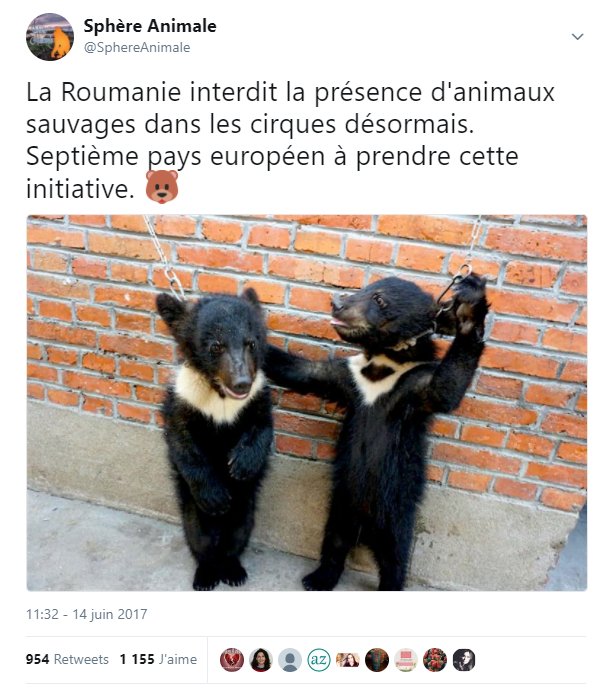 _Naeray's tweet photo. Plusieurs autres pays l'ont déjà fait.
La place des animaux est dans la nature ou dans des réserves adaptées, pas dans des cirques ou ils sont maltraités, enfermés et exploités.

A quand un engagement national en France ? @N_Hulot @EmmanuelMacron 
#NonAuxCirquesAvecAnimaux https://t.co/hLSEVh8Z7U