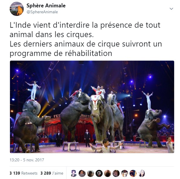 _Naeray's tweet photo. Plusieurs autres pays l'ont déjà fait.
La place des animaux est dans la nature ou dans des réserves adaptées, pas dans des cirques ou ils sont maltraités, enfermés et exploités.

A quand un engagement national en France ? @N_Hulot @EmmanuelMacron 
#NonAuxCirquesAvecAnimaux https://t.co/hLSEVh8Z7U
