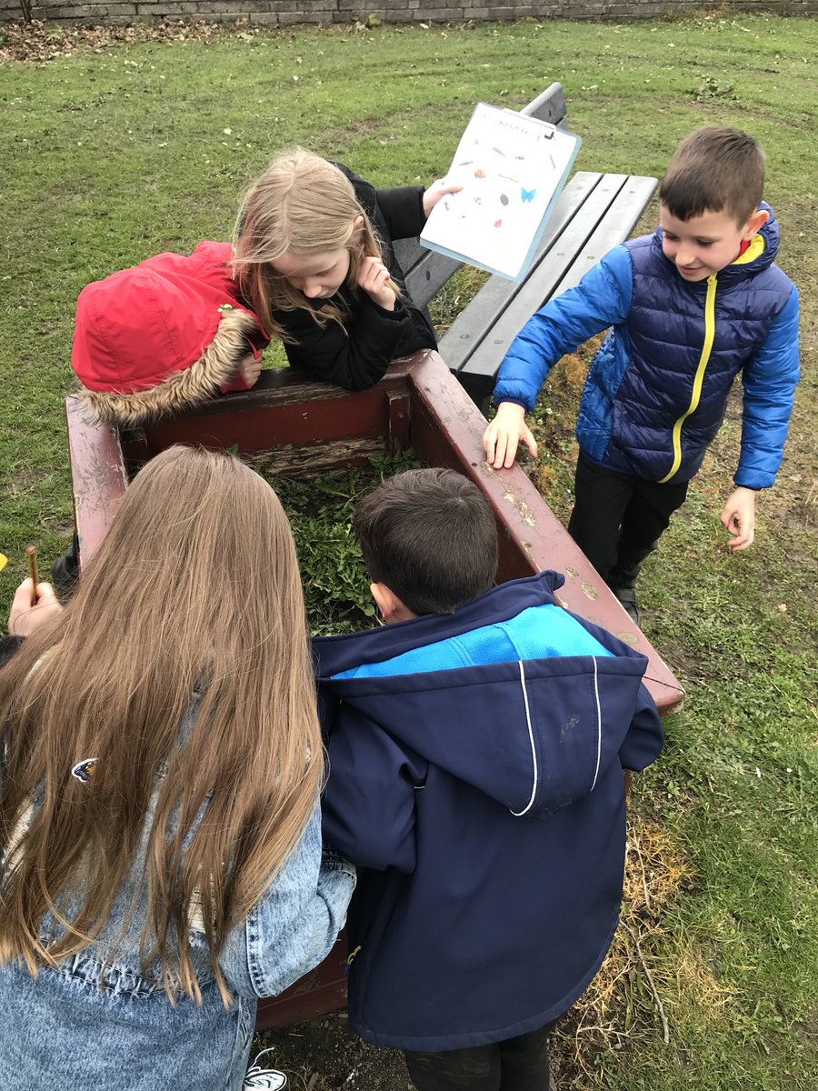 MrsDuncan88's tweet photo. P2 were hunting for mini beasts around the school today! We managed to find a fly, worm, spider and a very sneaky slug! @ForehillSchool #bughunt #topicfun #outdoorlearning https://t.co/Q91IMID89J