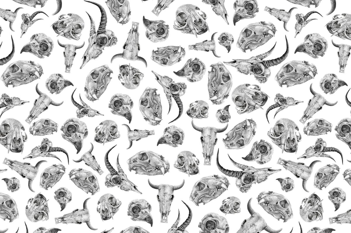 JdVFineArt's tweet photo. Keep an eye out for my new range launching soon! EXCITING!!!! 
#jdvfineart #newrange #skulls https://t.co/DYAF5yAy6m