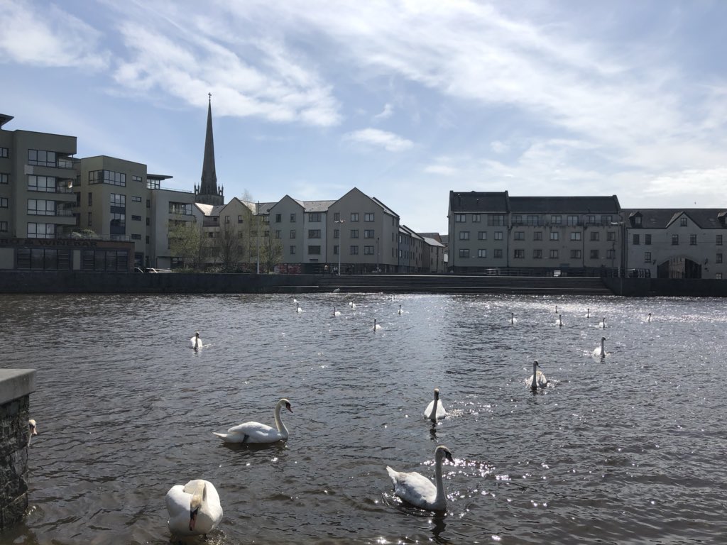 CarlowWeather's tweet image. 16.7c now but wind gusting to 66kmh. Winds will ease tomorrow though and temps could hit 19c. #SpringHasArrived