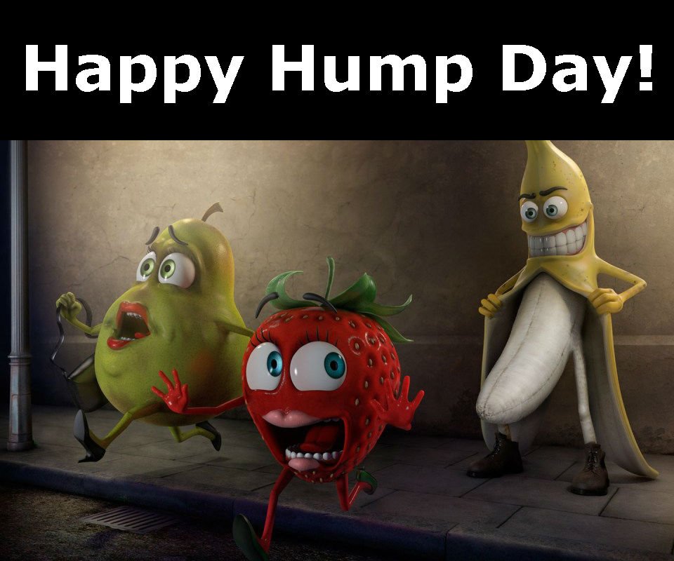 NNNBangor's tweet image. #humpwednesday half way through. It may not be a #heatwave as such, but people gotta stop complaining, at least it isn't raining #smilebehappy