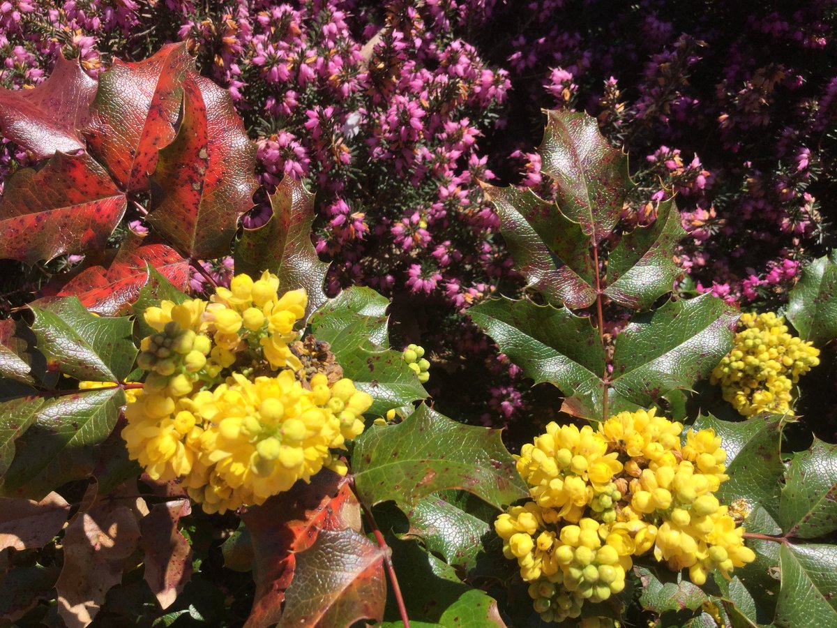rh7science's tweet photo. What can be seen around school today. @radnorsevenoaks #nature https://t.co/JUEISCYDEk