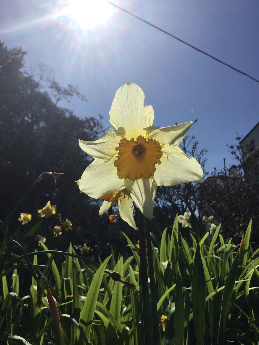 rh7science's tweet photo. What can be seen around school today. @radnorsevenoaks #nature https://t.co/JUEISCYDEk