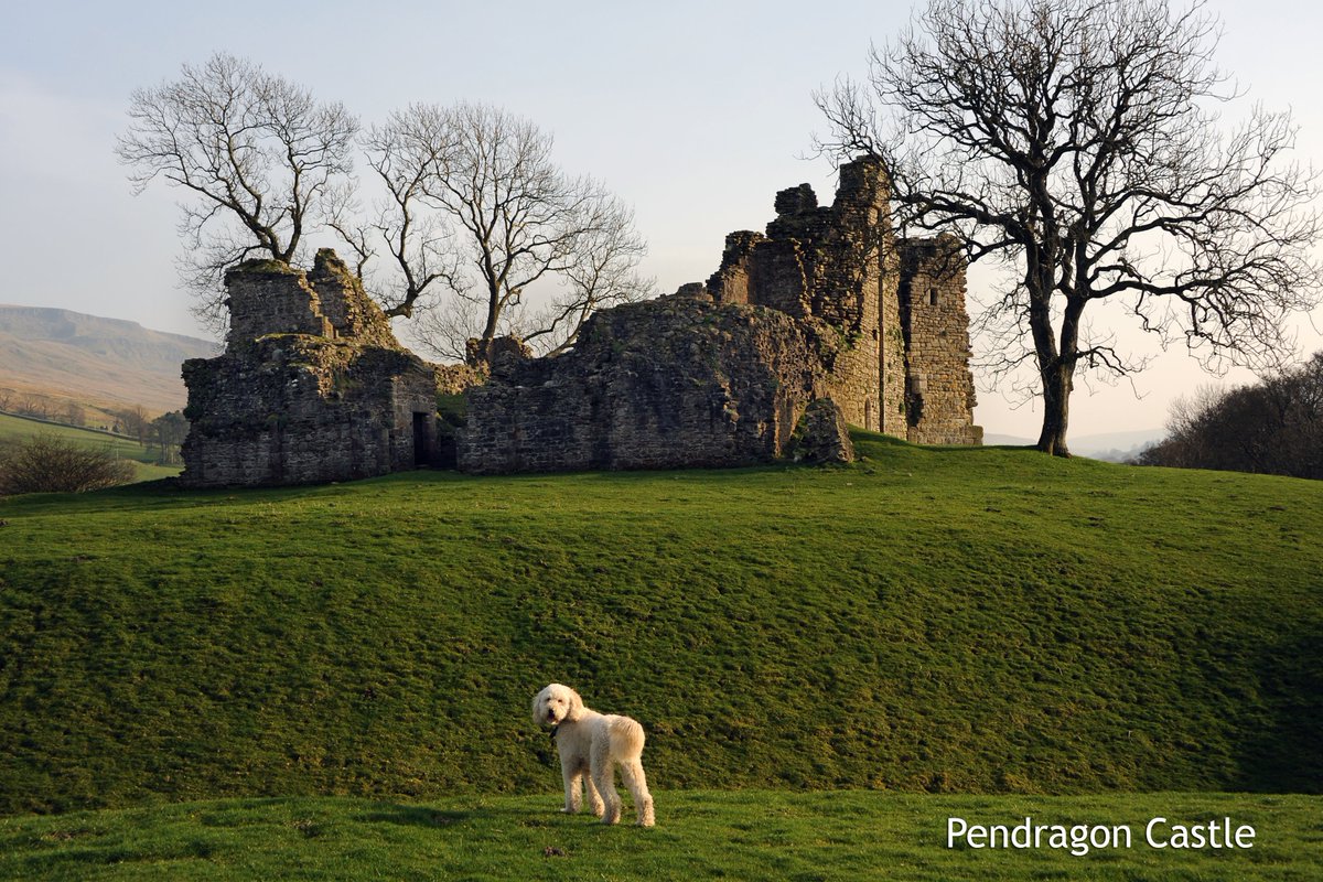 Kirkby Stephen & Upper Eden Visitor Centre tweet media