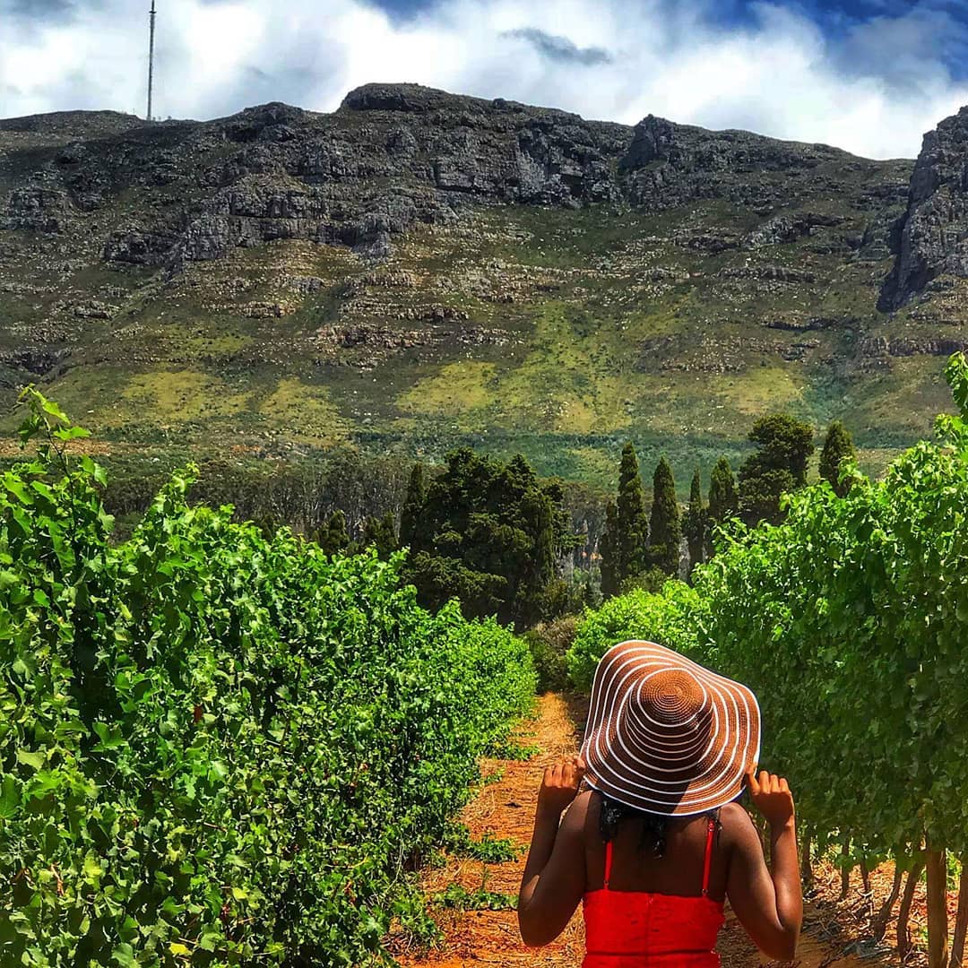 Taking in the beauty of Constantia with @sarah_gaines

#kovecollection #thealphen #constantiavalley #heritage
<a href="/constantia1685/">Constantia Valley</a> 
alphen.co.za