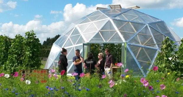 giyireland's tweet photo. Tonight on #GROWCOOKEAT at 7.30pm on @RTEOne we look at 2 serious issues, food waste on an industrial level and workplace wellbeing as an issue that can be tackled by GROWing at Work. #WorkWell18 #GIYWorkWell18 #GROWatWork 
https://t.co/yfKWnptHkG https://t.co/xhr2bUV8oK
