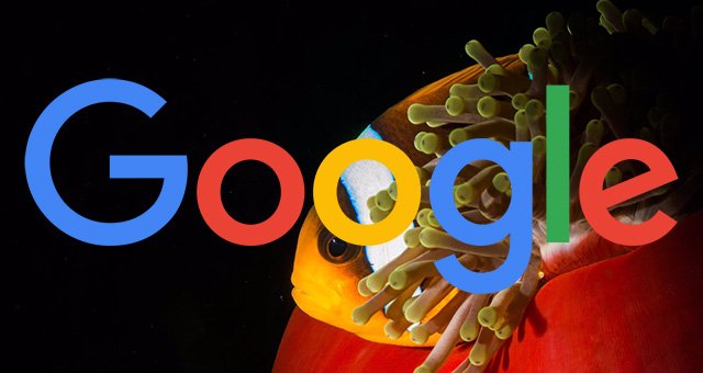 ecommwebinc's tweet photo. #Google also extended the #length of #meta descriptions to 200 characters on desktop and 172 on mobile. https://t.co/yaOabCGtm8