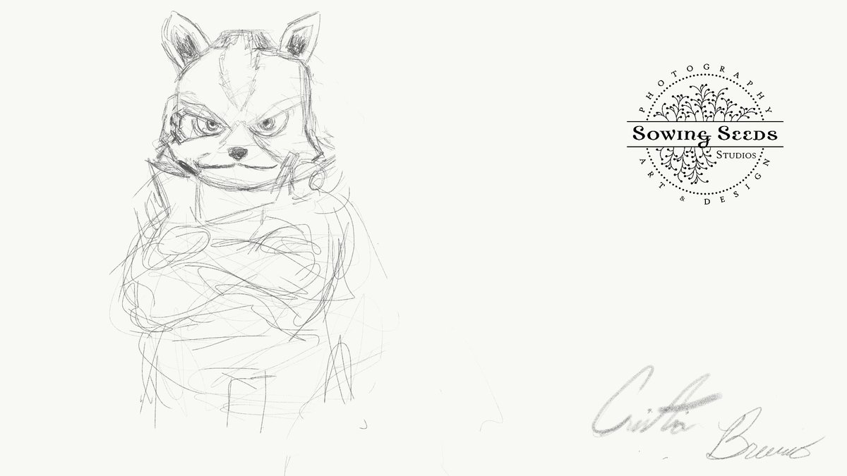 SowStudios2's tweet photo. @sowseedsstudios New #10minutesketch entry. It's #Star Fox. #sowingseedsstudios #sowstudios #sowstudios2 #StarFoxZero #StarFox64 #nintendo #nintendoswitch #fanart #SowArt #SowingArt https://t.co/COV9dI2eXR