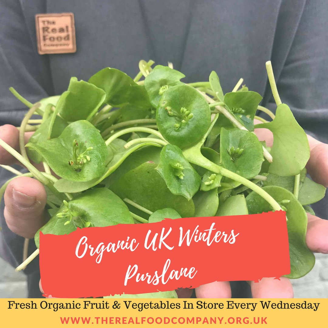 TheRealFoodCompany tweet media