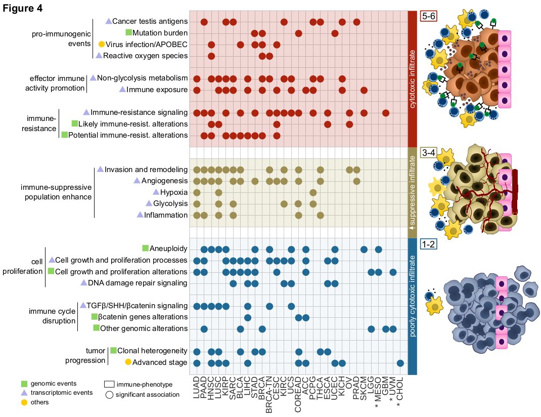 carlotarp_'s tweet photo. Our project @DavidTamborero on the identification of three scenarios of immune infiltration and evasion yesterday presented at #ECTB2018 is out now at CCR journal from @aacr https://t.co/0lKVQB8tb3 ! Happy to see completed the last piece of my thesis at @bbglab 🙃 https://t.co/5AD1FCvexM
