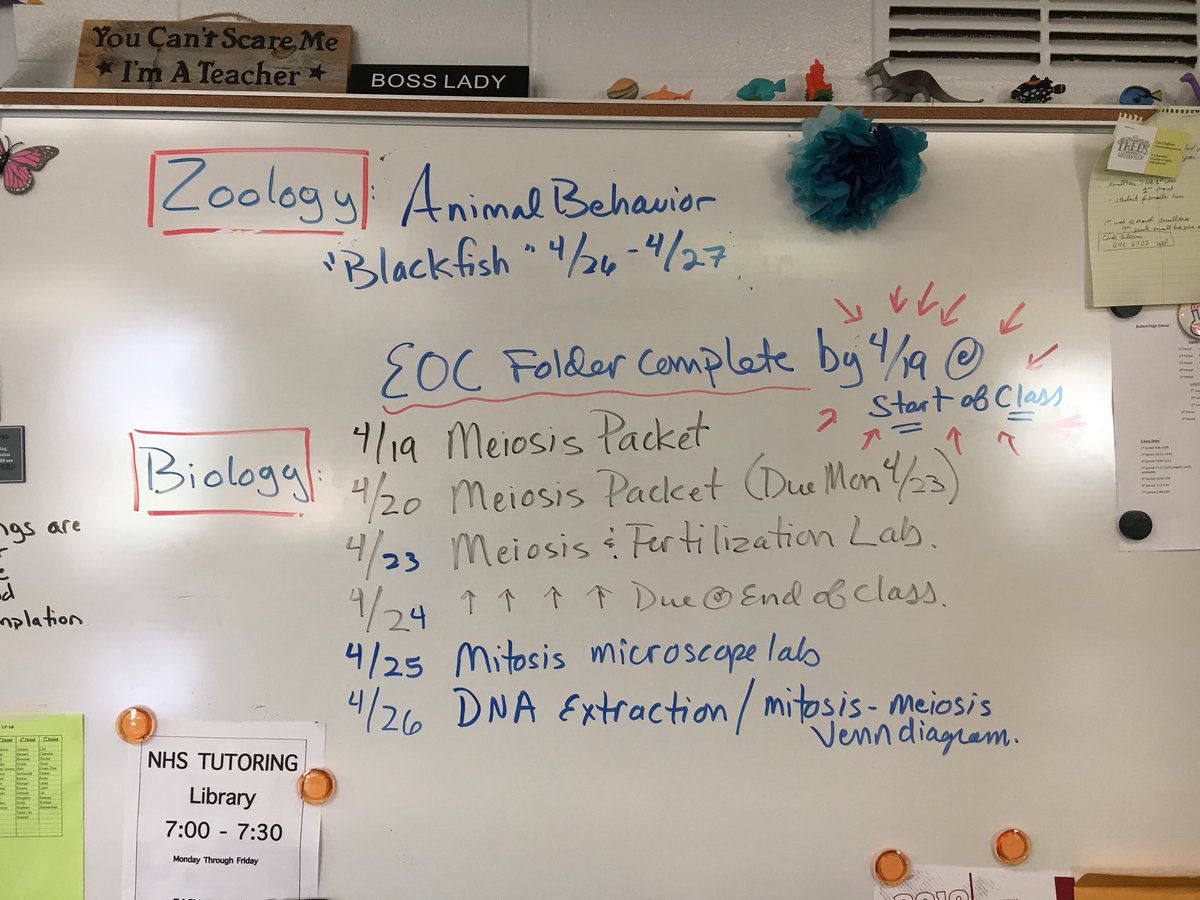 After the EOC Here is what we are up to. Make sure your EOC folder is DONE at start off class.