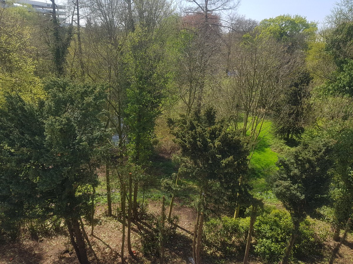 assistentiewoningen De Lieve tweet media