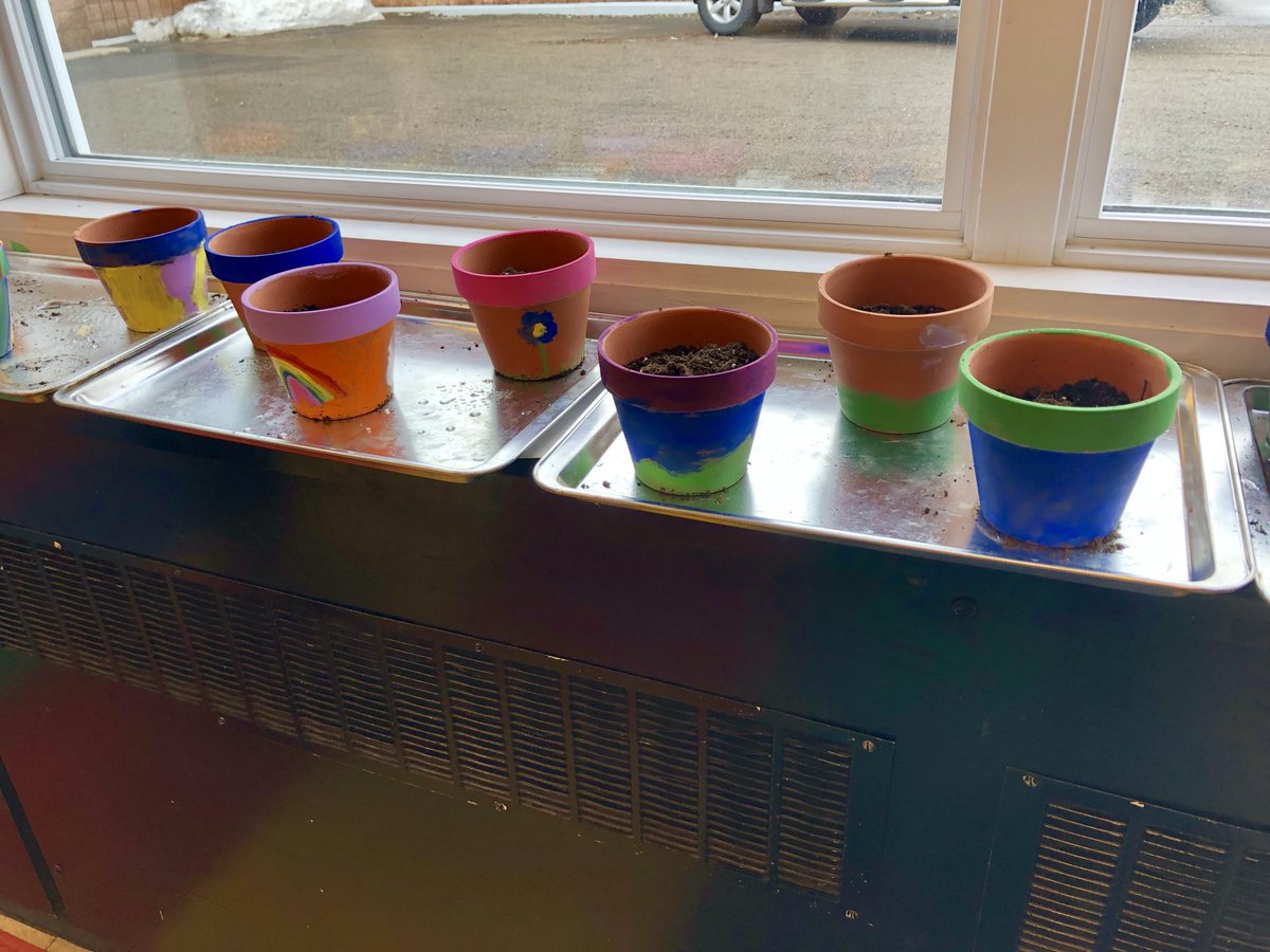 MsWalsh3's tweet photo. Grade 2 have planted their marigolds!  #PSSLearning https://t.co/nn2nytUUK8