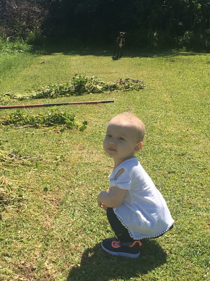 michaelferraro5's tweet photo. Can we all just take a minute to realize how much of a blessing my beautiful niece is!😍😍🔥🔥💖 https://t.co/rspb5tHzZn