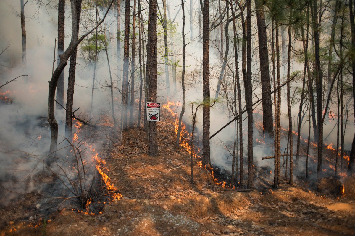 USFWSFire's tweet image. #USFWS firefighters plan to conduct a prescribed fire today at the Mountain Longleaf NWR totaling 2,537 acres #ALfire #rxfire #GoodFires  Protecting communication tower on Moorman Mtn, DHS COBRA facility and AL National Guard facilities and enhancing Mtn Longleaf ecosystem