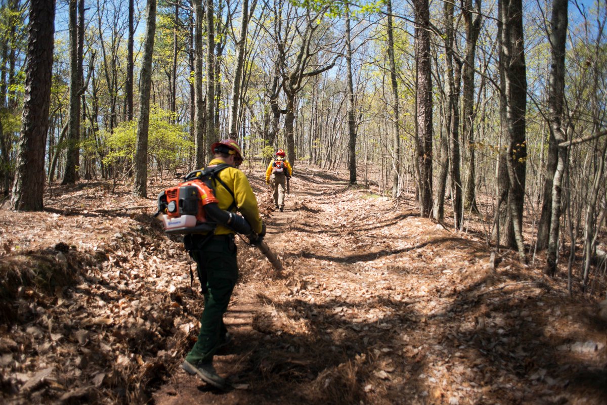 USFWSFire's tweet image. #USFWS firefighters plan to conduct a prescribed fire today at the Mountain Longleaf NWR totaling 2,537 acres #ALfire #rxfire #GoodFires  Protecting communication tower on Moorman Mtn, DHS COBRA facility and AL National Guard facilities and enhancing Mtn Longleaf ecosystem