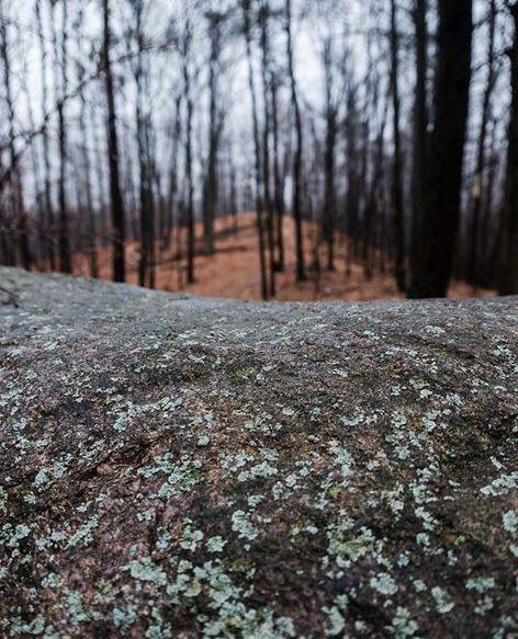 cwc_mi's tweet photo. The boulder atop Bundy Hill -- the tallest point in Isabella County -- is estimated to weight over 40 tons. Have you made it to the top yet? Photo by Jason Mahokey.
.
.
.
#CWC #countyhighpoint #BundyHillPreserve https://t.co/ddKpcfZmL6