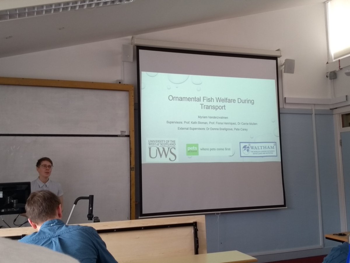 DanSanLac's tweet photo. Myriam, preseting us her transfer event about how welfare of ornamental fish is affected during their transport, congratulations! #IBEHR @CER_UWS @UniWestScotland #fishsci https://t.co/lIIBP79BSK