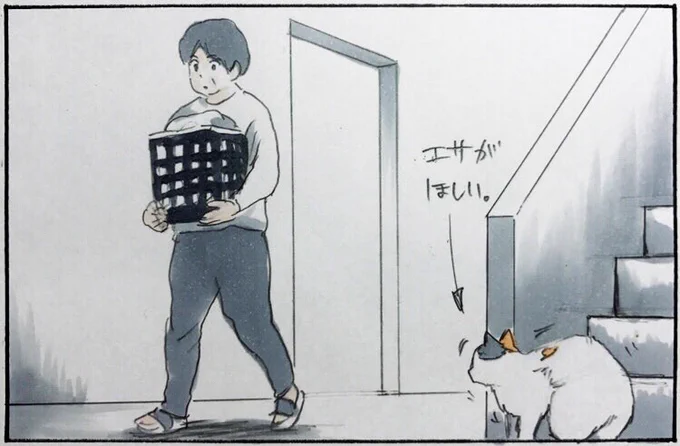 『モチャのアピール』 