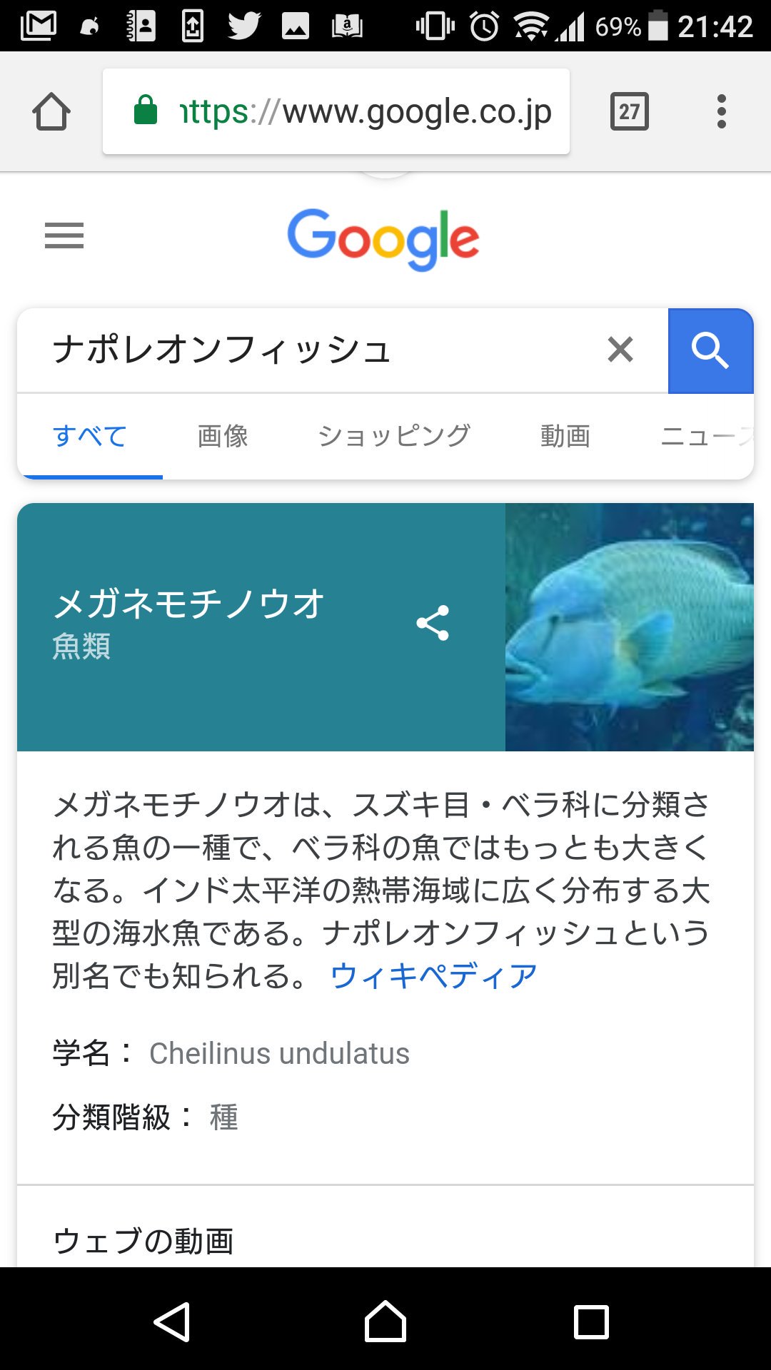 みんみん Webp 生き物の通り名と正式名称でのやつ多そう 金曜日のネタ帳 タイトルに入ってない選手権 T Co Dursfnxvmd Twitter