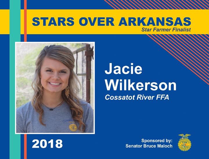 Introducing our 2018 STARS Over Arkansas Finalists! #ICanWeWill