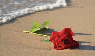 دخيل الدخيل tweet media